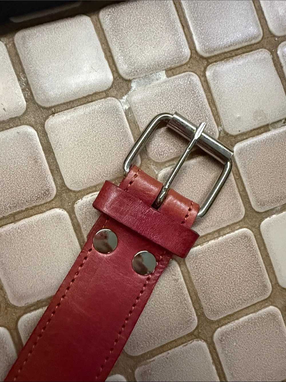 N/A dog leather